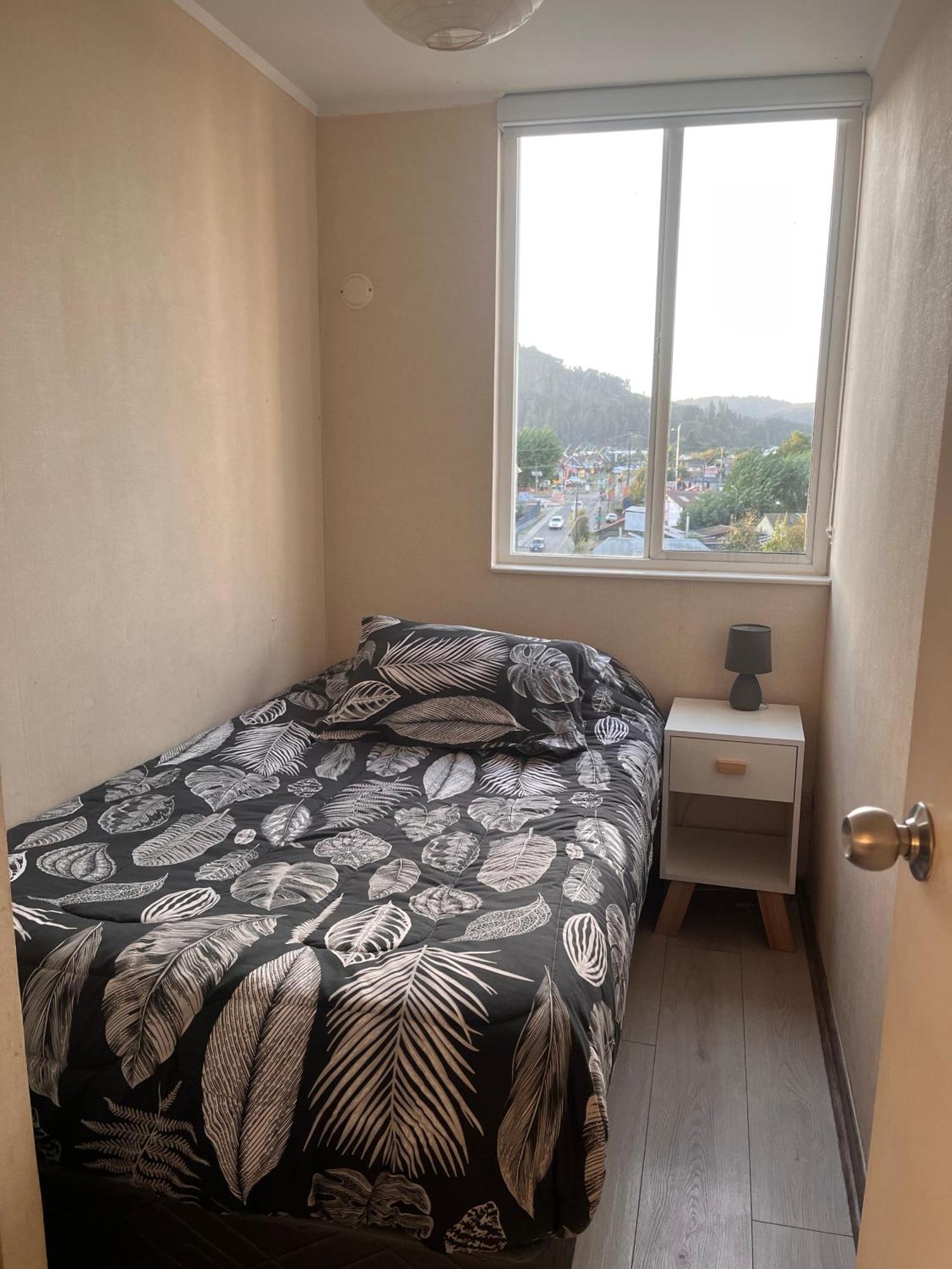 Departamento Acogedor Y Centrico Apartment