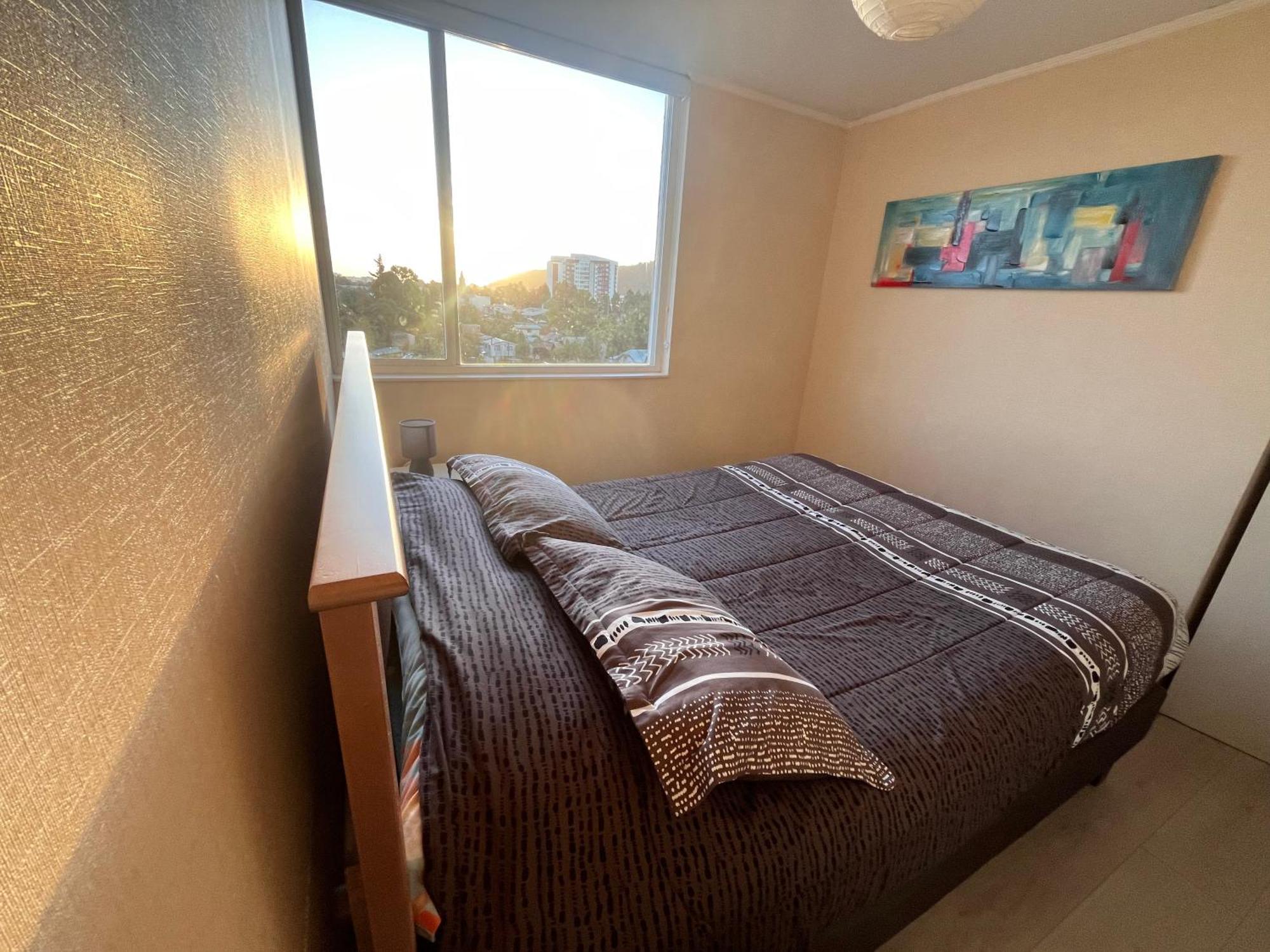 Apartment Departamento Acogedor Y Centrico
